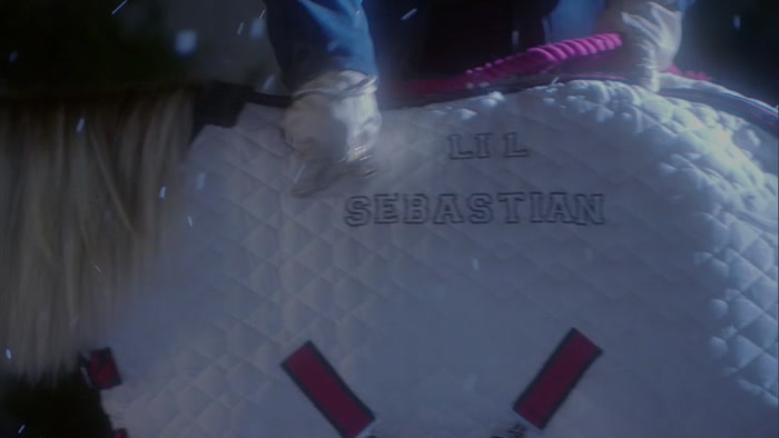 HE'S A, UH, LICENSED LI'L SEBASTIAN IMPERSONATOR. 