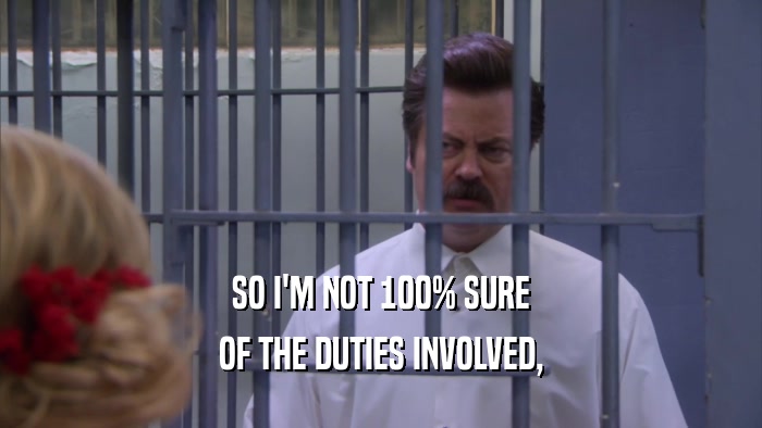 SO I'M NOT 100% SURE OF THE DUTIES INVOLVED, 