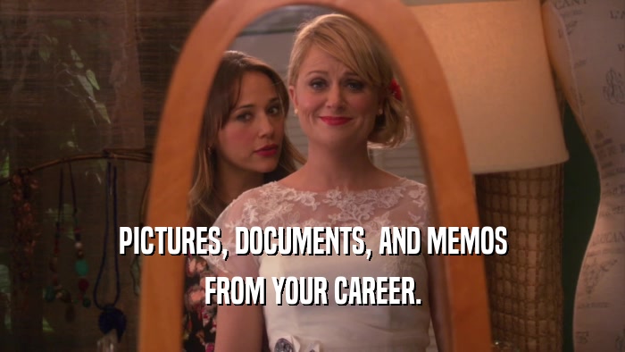 PICTURES, DOCUMENTS, AND MEMOS FROM YOUR CAREER. 