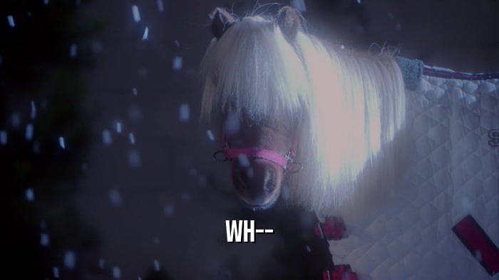 WH--  