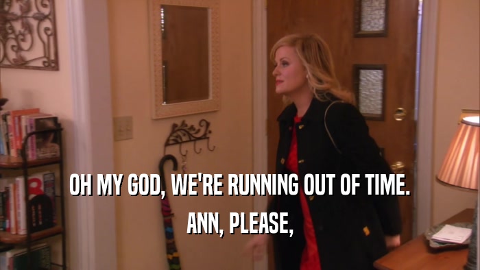 OH MY GOD, WE'RE RUNNING OUT OF TIME. ANN, PLEASE, 