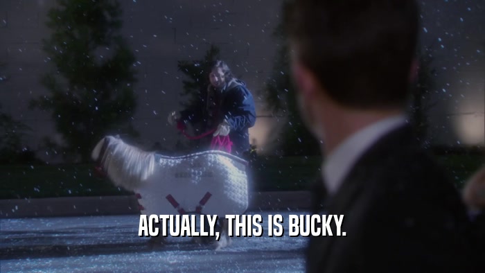 ACTUALLY, THIS IS BUCKY.  