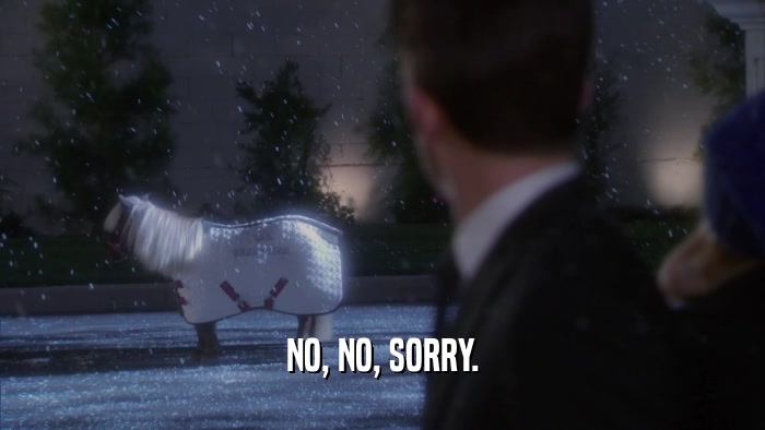 NO, NO, SORRY.  