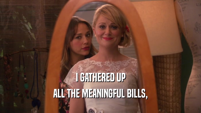 I GATHERED UP ALL THE MEANINGFUL BILLS, 