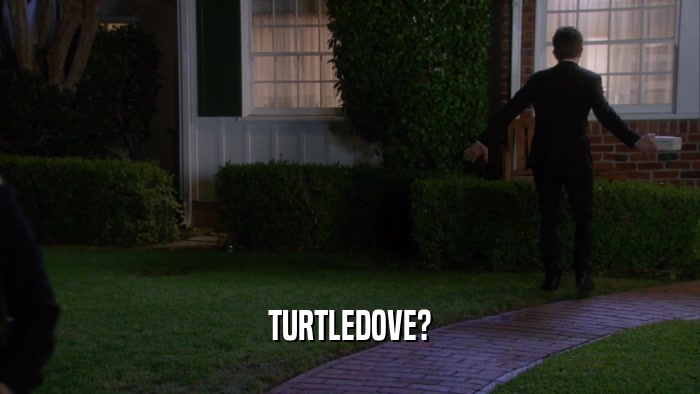 TURTLEDOVE?  