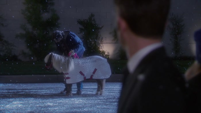 THIS IS LI'L SEBASTIAN,
 AND THIS IS A SIGN.
 