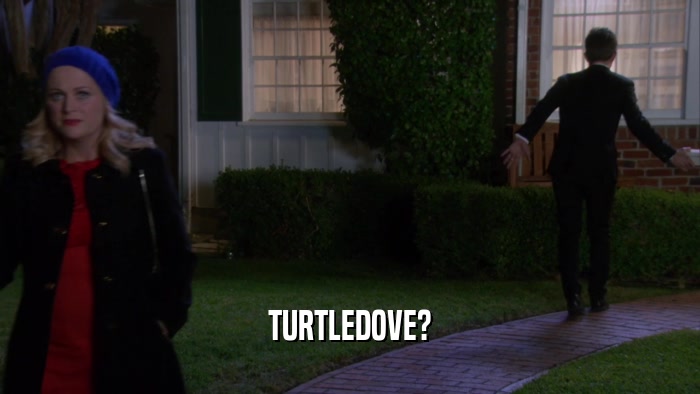 TURTLEDOVE?  