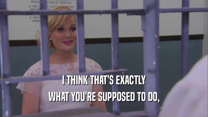 I THINK THAT'S EXACTLY WHAT YOU'RE SUPPOSED TO DO, 