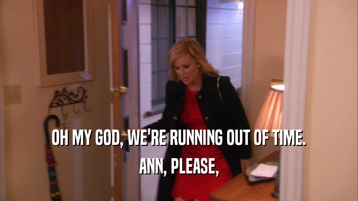 OH MY GOD, WE'RE RUNNING OUT OF TIME. ANN, PLEASE, 