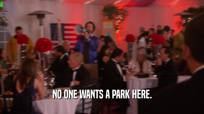 NO ONE WANTS A PARK HERE.  