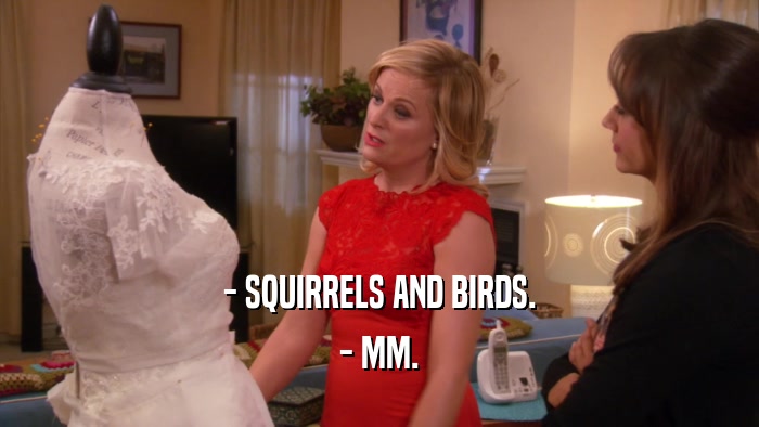 - SQUIRRELS AND BIRDS. - MM. 