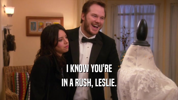 I KNOW YOU'RE IN A RUSH, LESLIE. 