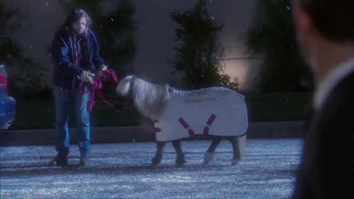 - COME ON, BUCKY. - LI'L SEBASTIAN. 