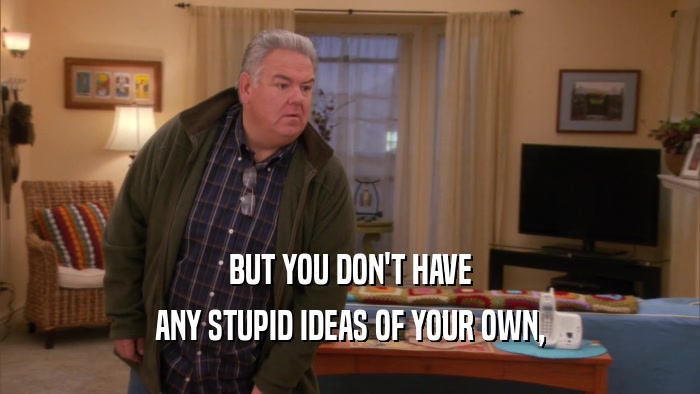 BUT YOU DON'T HAVE ANY STUPID IDEAS OF YOUR OWN, 