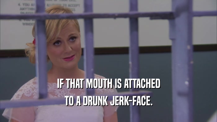 IF THAT MOUTH IS ATTACHED TO A DRUNK JERK-FACE. 