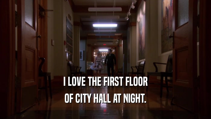 I LOVE THE FIRST FLOOR OF CITY HALL AT NIGHT. 