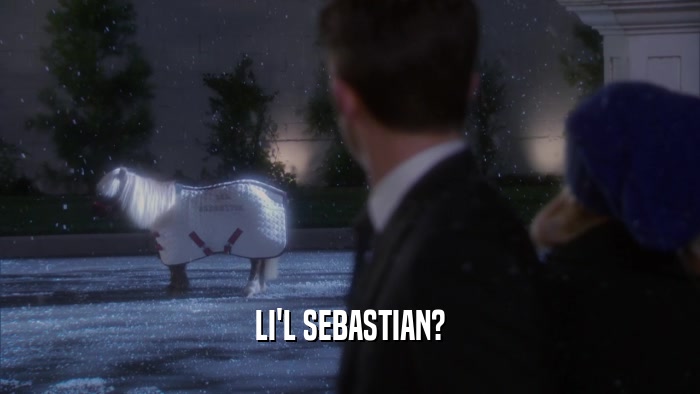 LI'L SEBASTIAN?  