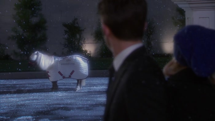 LI'L SEBASTIAN?  