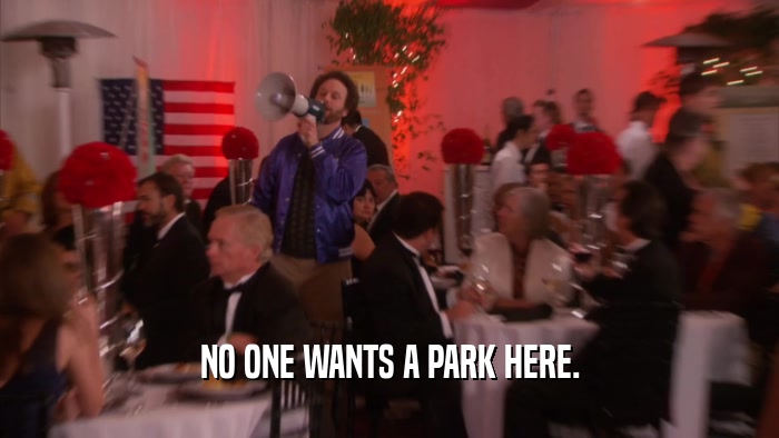 NO ONE WANTS A PARK HERE.  