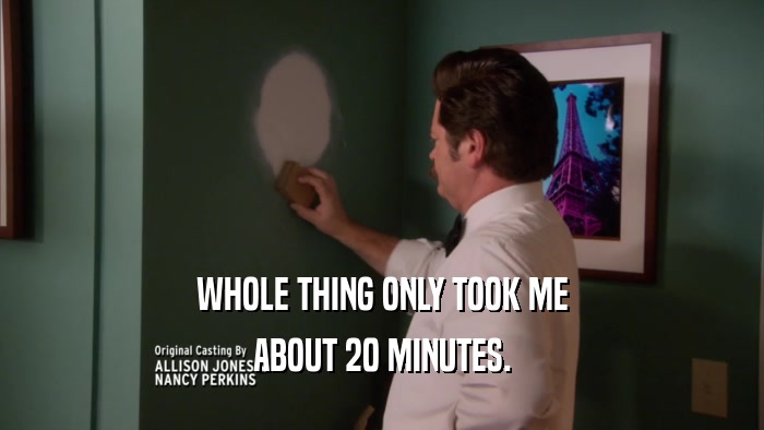WHOLE THING ONLY TOOK ME ABOUT 20 MINUTES. 