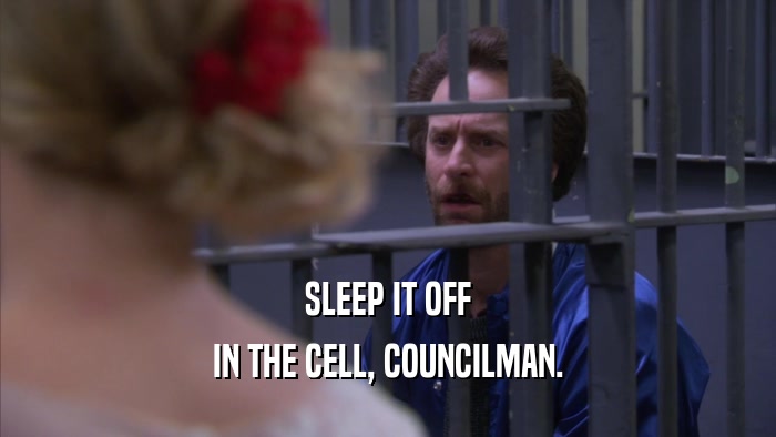 SLEEP IT OFF IN THE CELL, COUNCILMAN. 