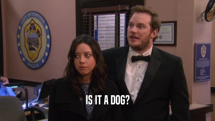 IS IT A DOG?  