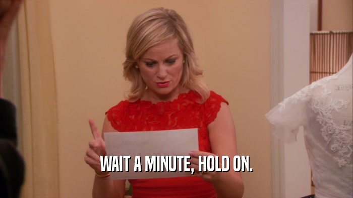WAIT A MINUTE, HOLD ON.  