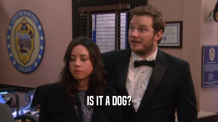 IS IT A DOG?  