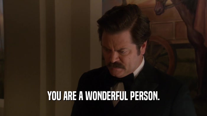 YOU ARE A WONDERFUL PERSON.  