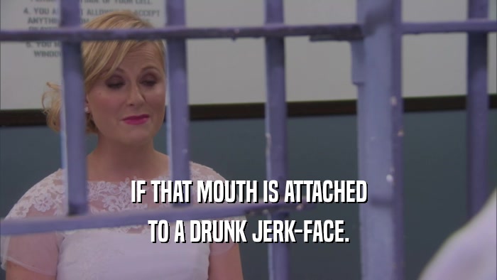 IF THAT MOUTH IS ATTACHED TO A DRUNK JERK-FACE. 