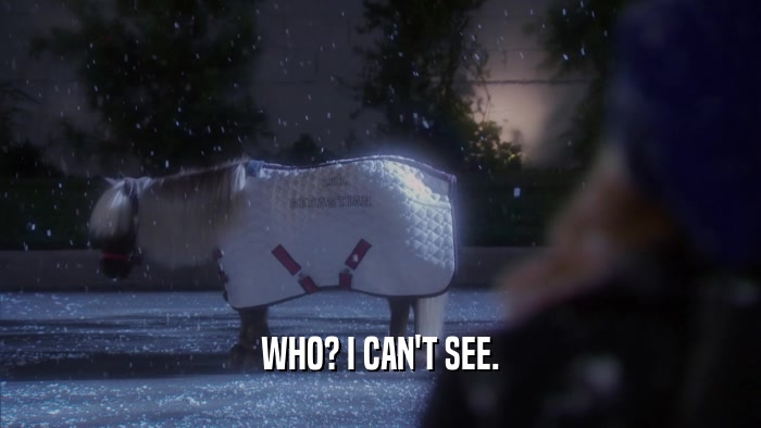WHO? I CAN'T SEE.  