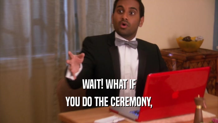 WAIT! WHAT IF YOU DO THE CEREMONY, 