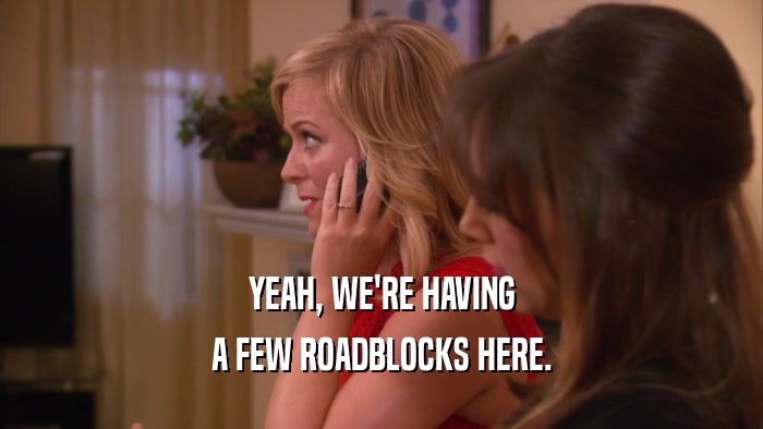 YEAH, WE'RE HAVING A FEW ROADBLOCKS HERE. 