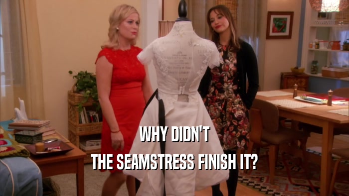WHY DIDN'T THE SEAMSTRESS FINISH IT? 