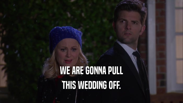 WE ARE GONNA PULL THIS WEDDING OFF. 