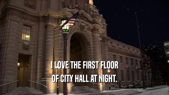 I LOVE THE FIRST FLOOR OF CITY HALL AT NIGHT. 