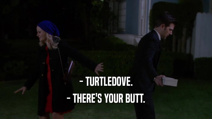 - TURTLEDOVE. - THERE'S YOUR BUTT. 