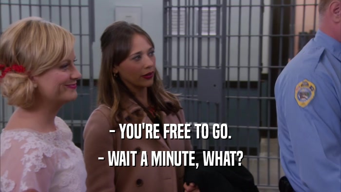 - YOU'RE FREE TO GO. - WAIT A MINUTE, WHAT? 