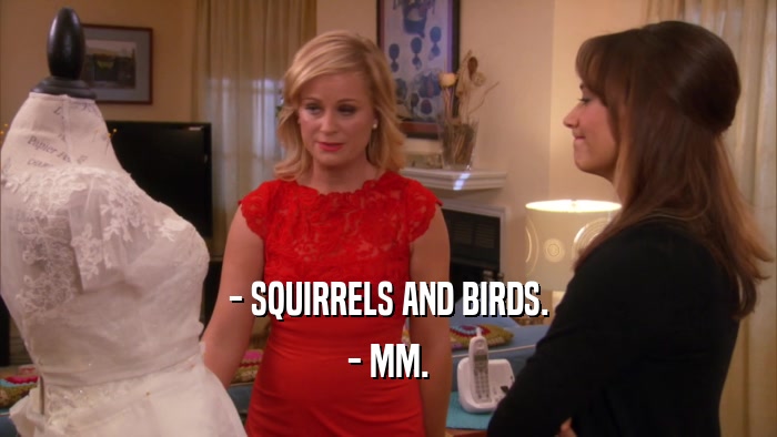 - SQUIRRELS AND BIRDS. - MM. 