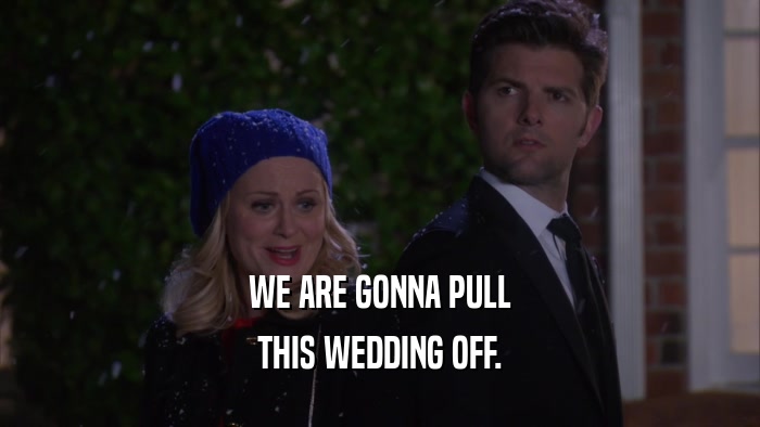 WE ARE GONNA PULL THIS WEDDING OFF. 