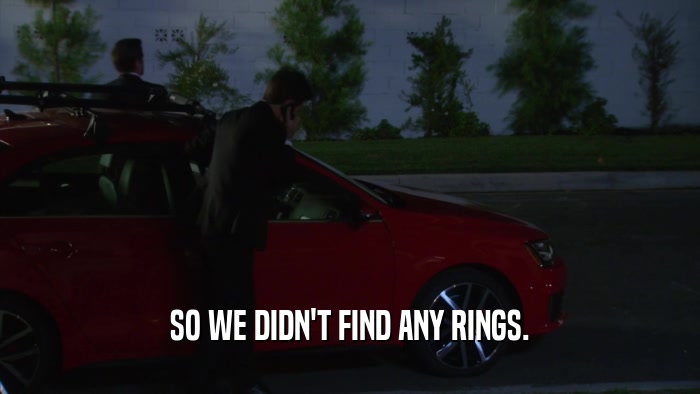 SO WE DIDN'T FIND ANY RINGS.  