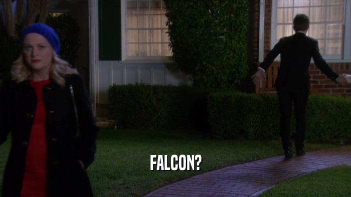 FALCON?  