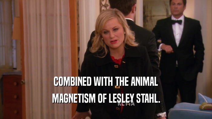 COMBINED WITH THE ANIMAL MAGNETISM OF LESLEY STAHL. 