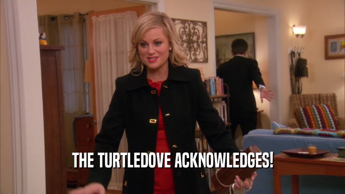 THE TURTLEDOVE ACKNOWLEDGES!  