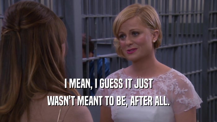 I MEAN, I GUESS IT JUST WASN'T MEANT TO BE, AFTER ALL. 