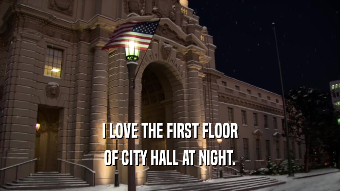 I LOVE THE FIRST FLOOR OF CITY HALL AT NIGHT. 