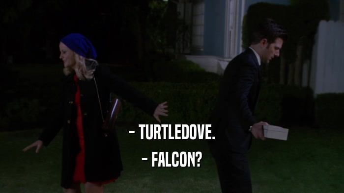- TURTLEDOVE. - FALCON? 
