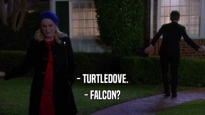 - TURTLEDOVE. - FALCON? 