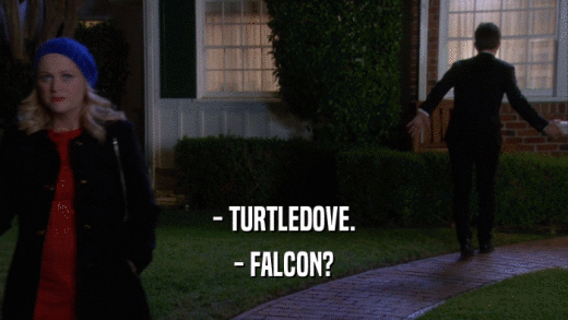 - TURTLEDOVE. - FALCON? 
