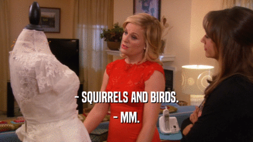 - SQUIRRELS AND BIRDS. - MM. 